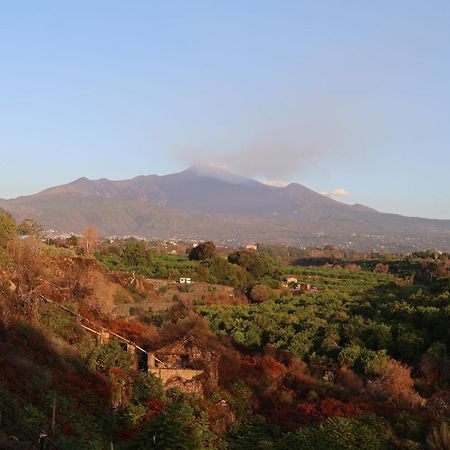 Il Pampaleone Glamping And Resort Acireale Exteriör bild
