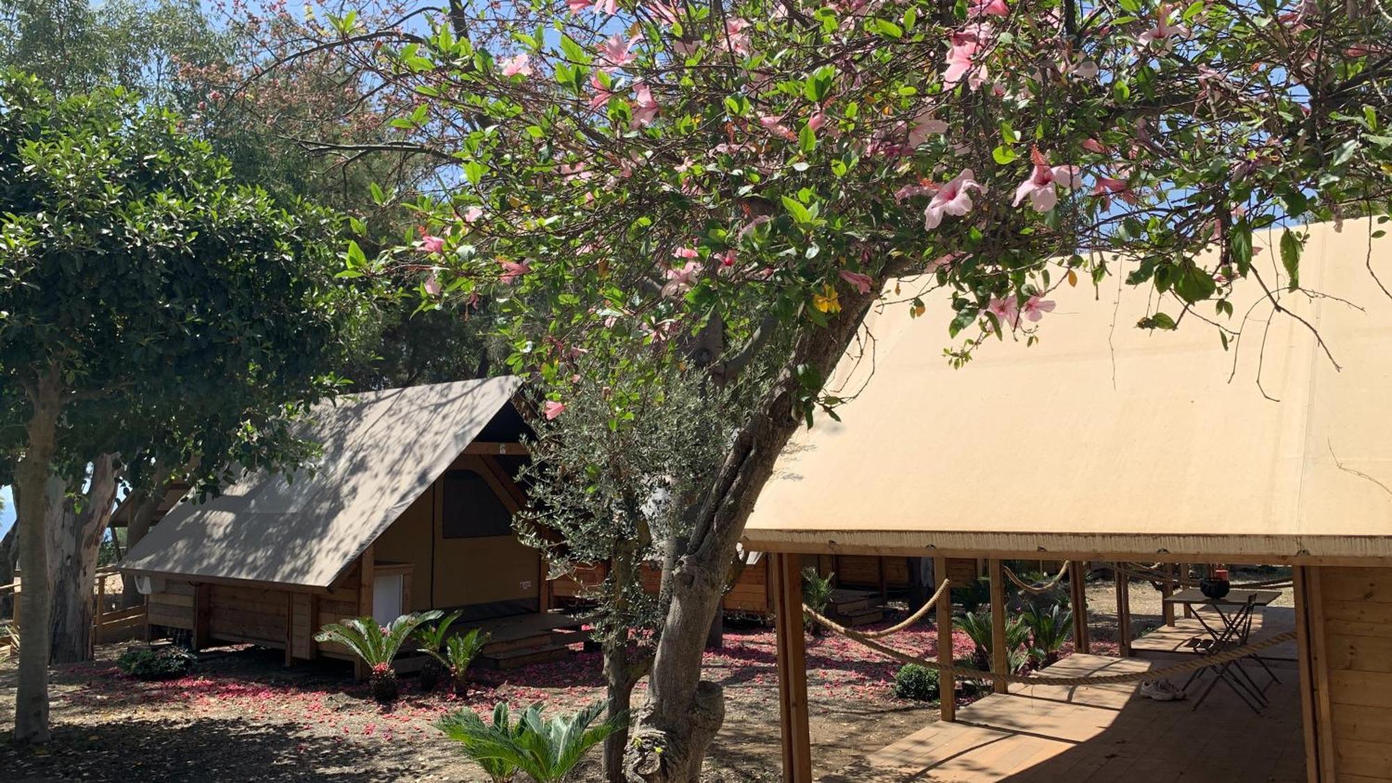Il Pampaleone Glamping And Resort Acireale Exteriör bild